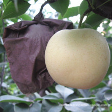 Poire d&#39;or et de couronne